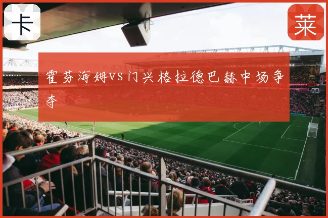 霍芬海姆vs门兴格拉德巴赫中场争夺
