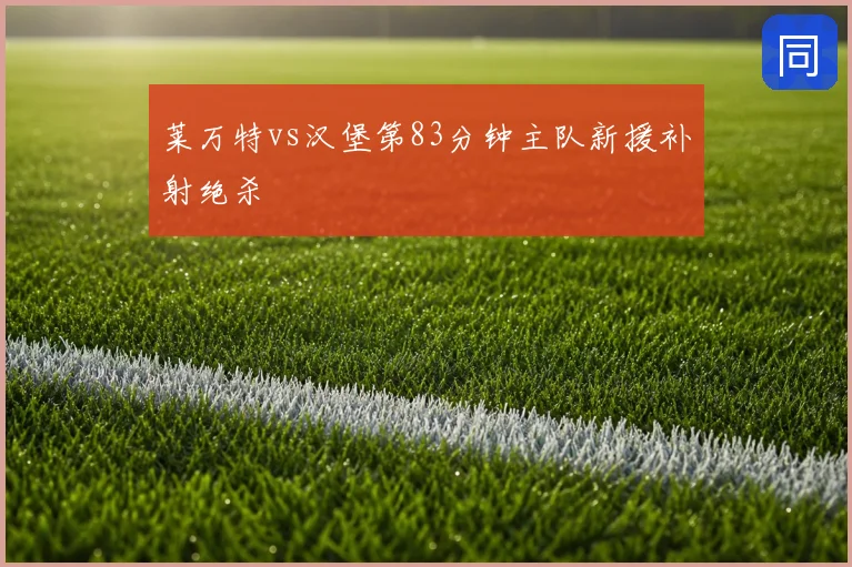 莱万特vs汉堡第83分钟主队新援补射绝杀